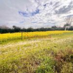 terreno in vendita Trentola Ducenta
